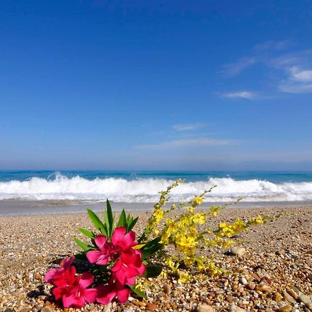 Almyra Beach House Corfu Praia de Almiros Exterior foto