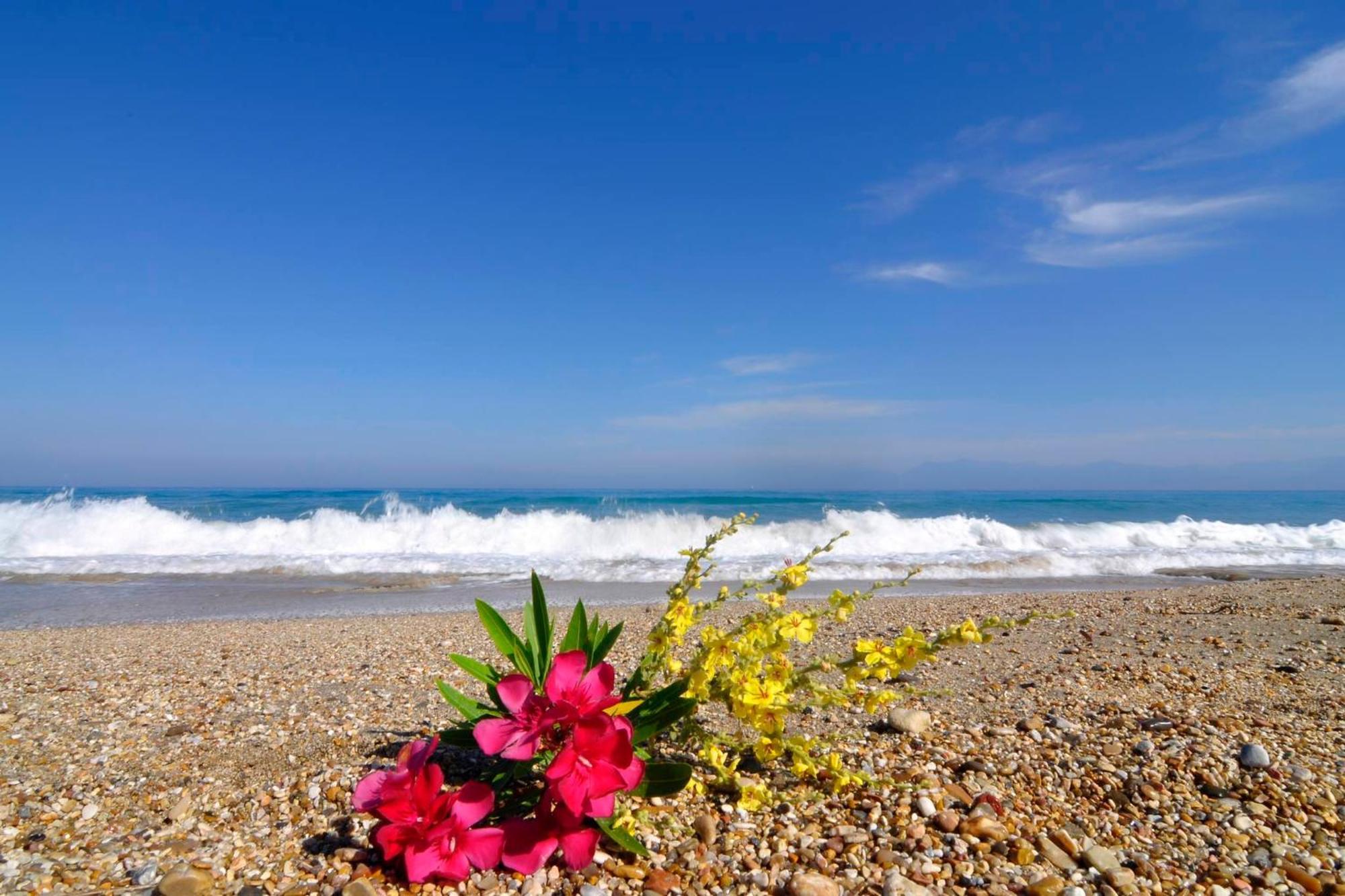 Almyra Beach House Corfu Praia de Almiros Exterior foto